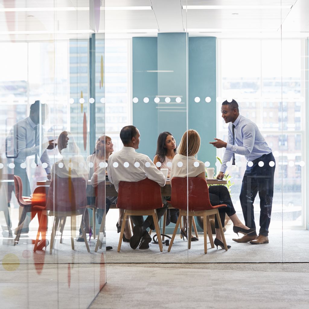 Réunion invesstisseurs Nemea